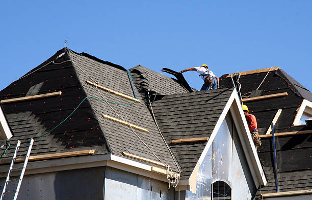 Best Roof Insulation Installation  in Junction City, KY